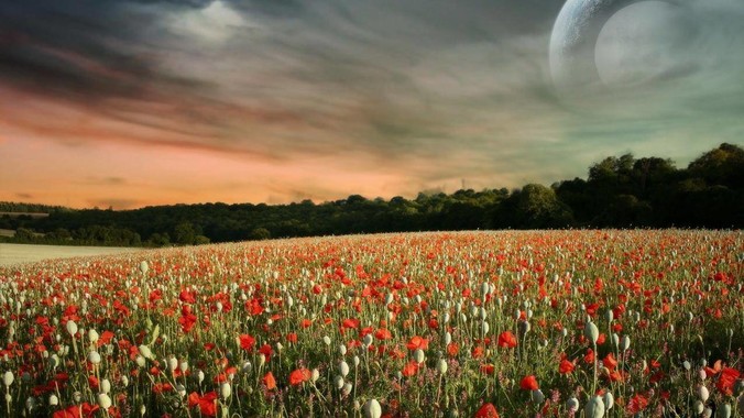 小区有人去世办丧事，早上5点放音乐，我报警有错吗？